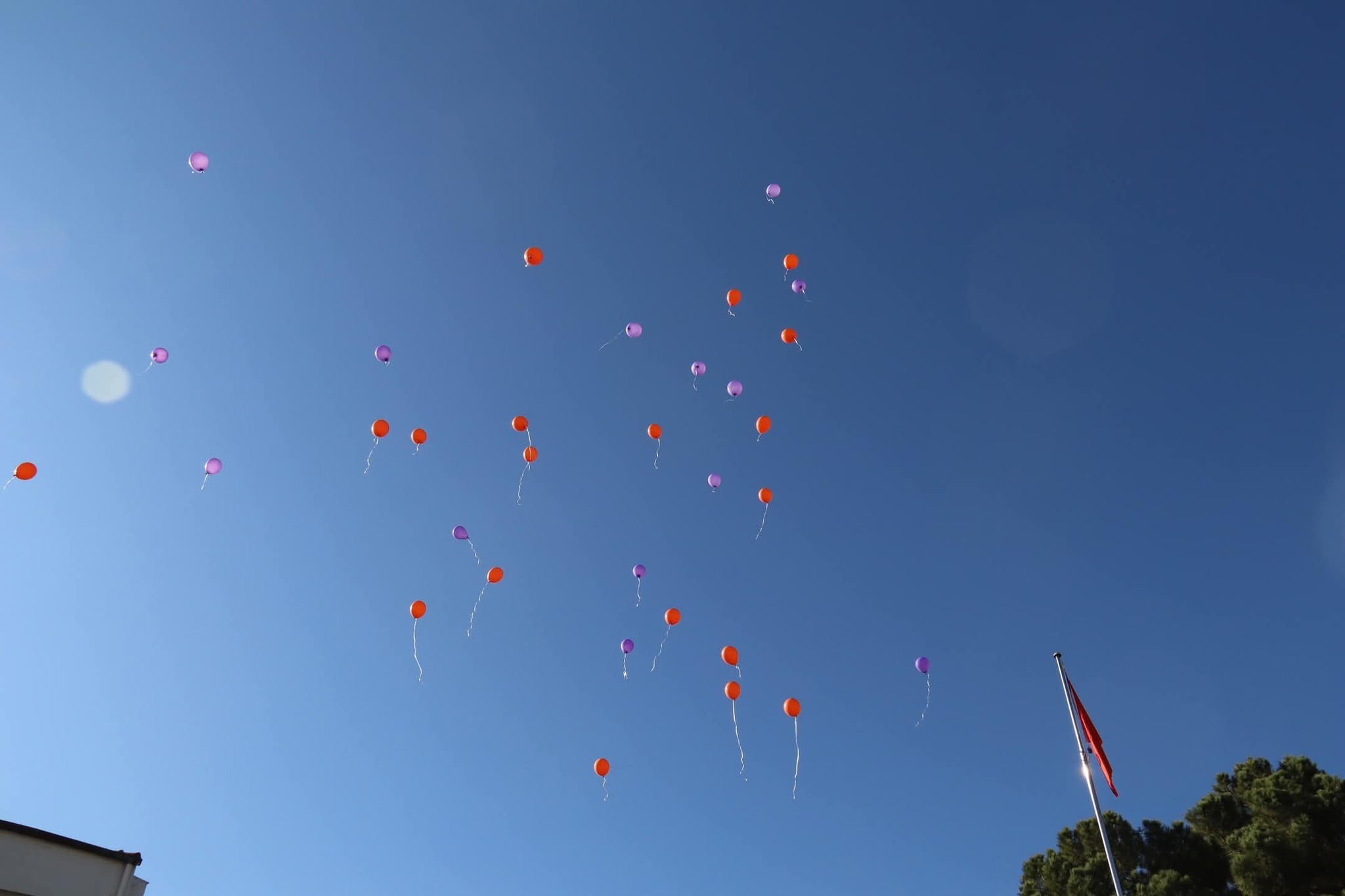 589427007 4171790079730403 2930444184714295627 N