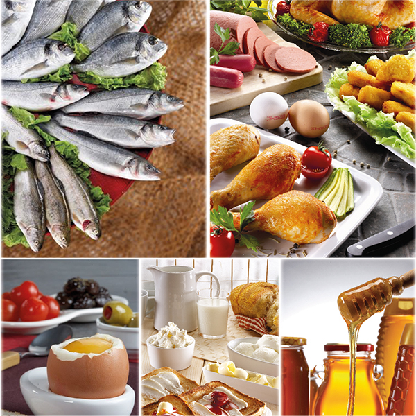 870 F6 E D4 C C D449 E6 A5 A2 F8 F A B7 F C F D3 D