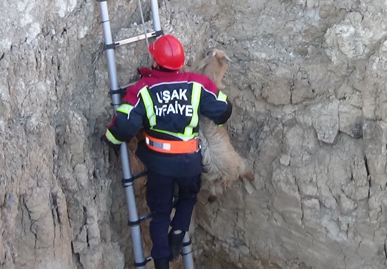 A A 20251115 39713868 39713866 U S A K T A K U Y U Y A D U S E N K E C I Y I I T F A I Y E K U R T A R D I