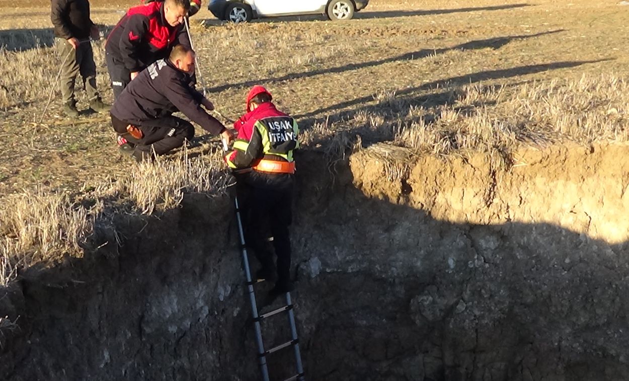 A A 20251115 39713868 39713867 U S A K T A K U Y U Y A D U S E N K E C I Y I I T F A I Y E K U R T A R D I