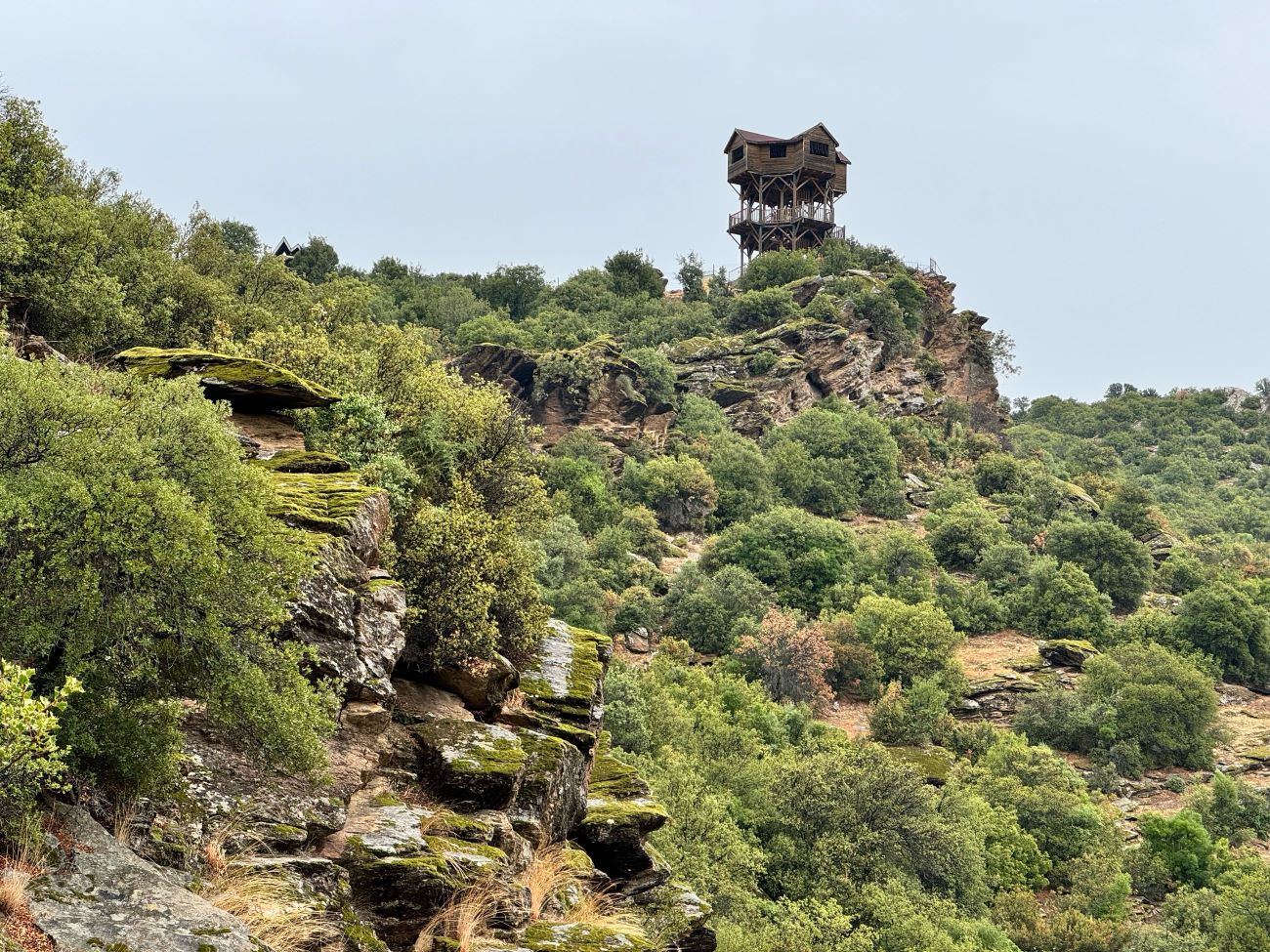 A A 20251119 39747205 39747199 I L K L E R I N S E H R I U S A K T A R I H I V E K U L T U R U Y L E I L G I O D A G I O L U Y O R