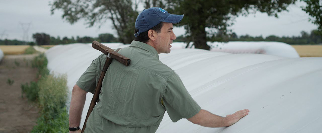 The Agronomist 091310205