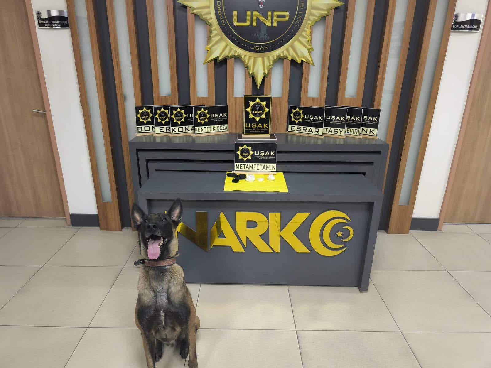 Whatsapp Image 2025 11 14 At 21.20.11 (4)