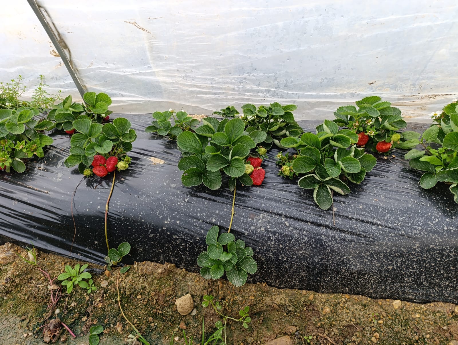 23249765 9B11 4C83 87Cc Fa7E3Ecdcb45