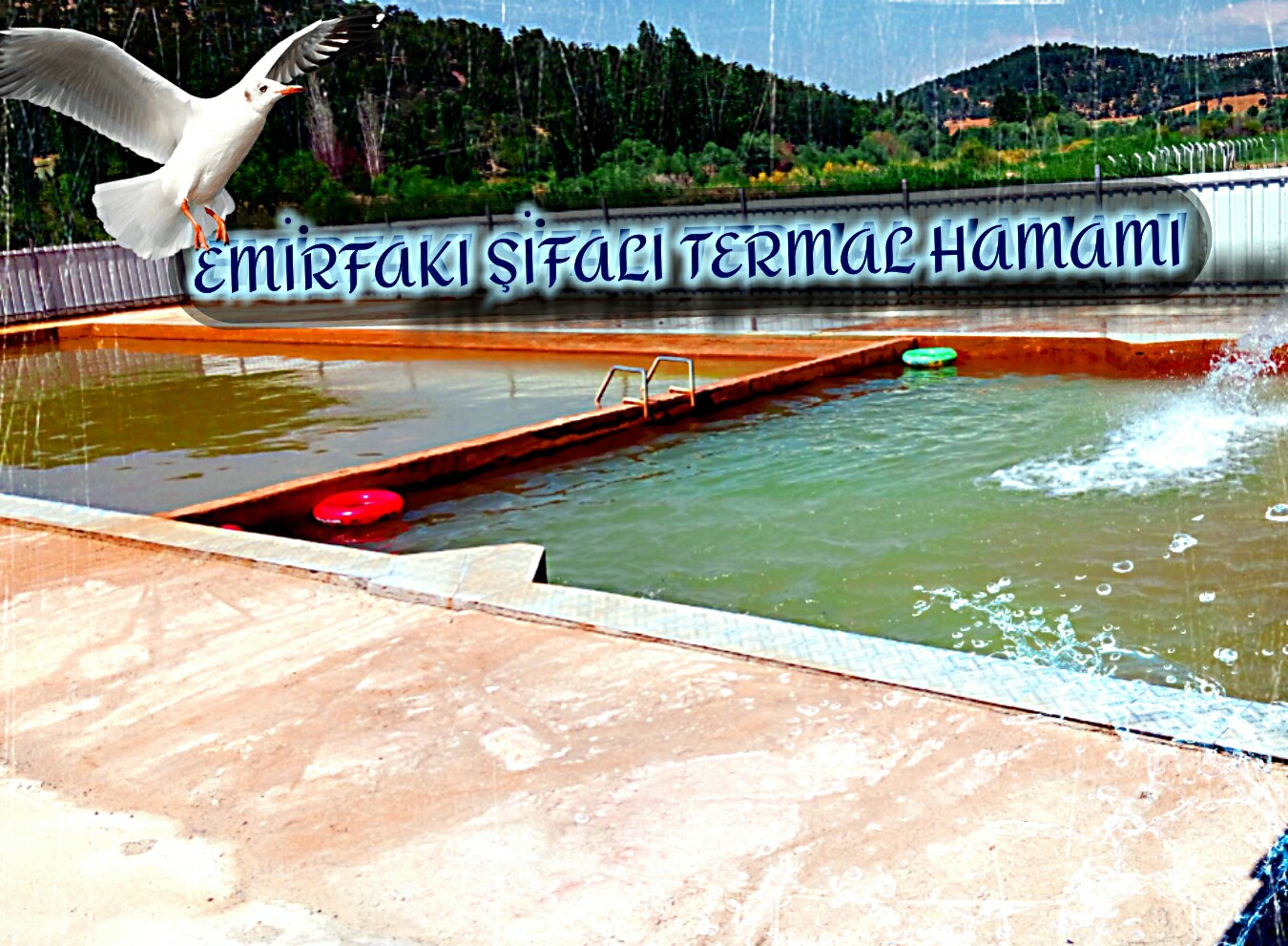 307284273 427269002840421 6921657812562718017 N