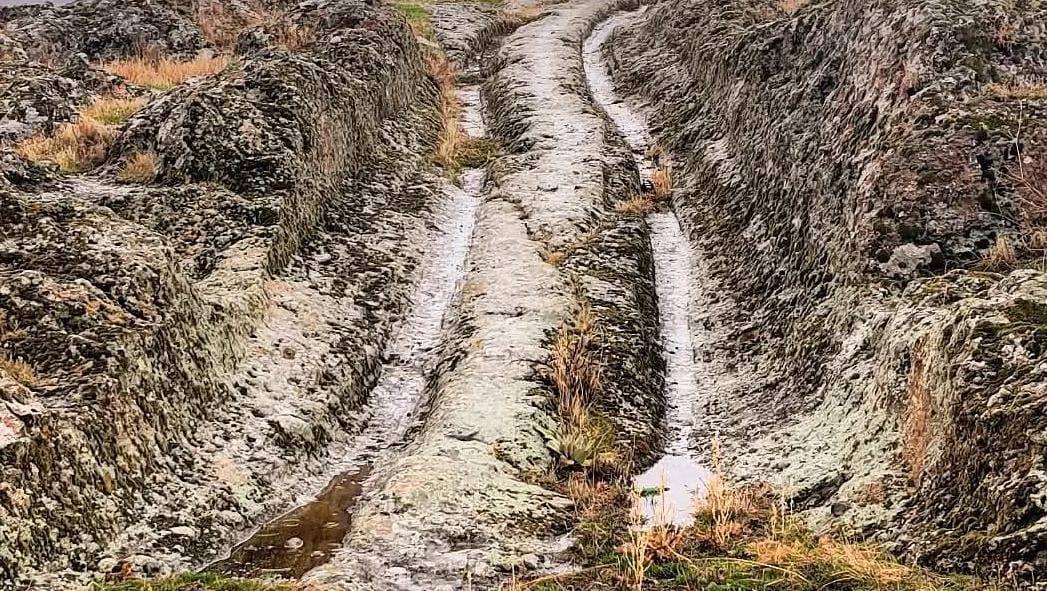 38Fb5510 5701 4887 8C62 A40E6C92Db5A