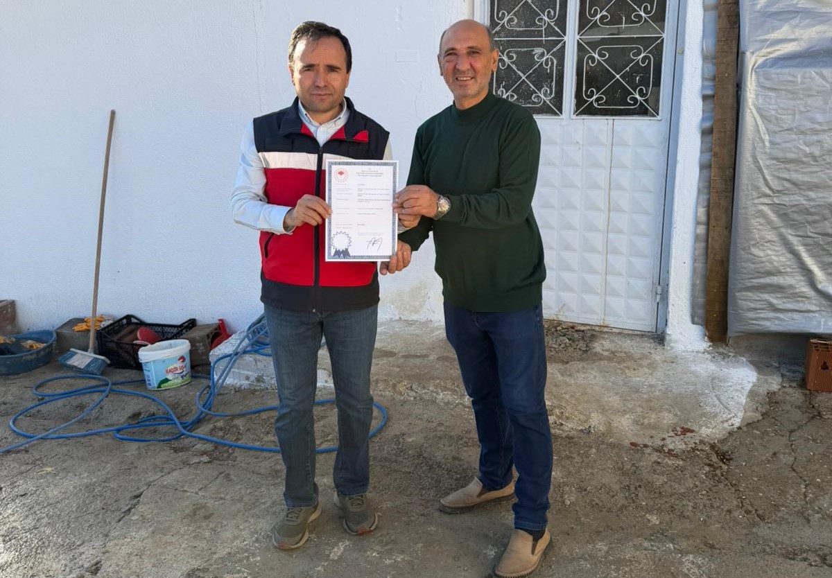 427677Ec 5Fff 44C3 B336 6E2F69C53Bc6