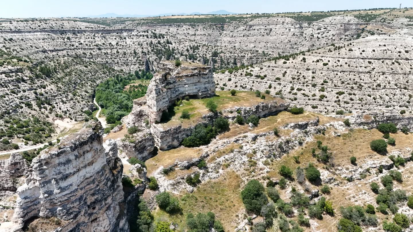 503998845 18502082482044056 2447294582582709417 N