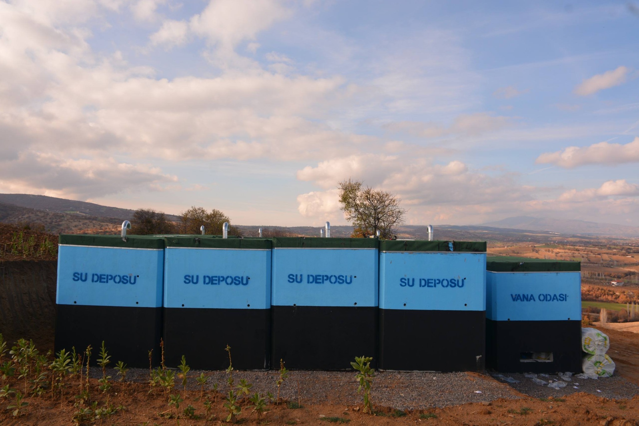 577062149 830746413056850 6259149506255457601 N