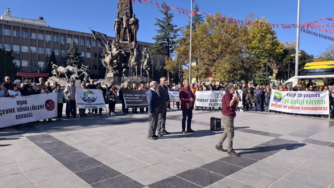 583686906 4398767967114409 5638424506201898275 N