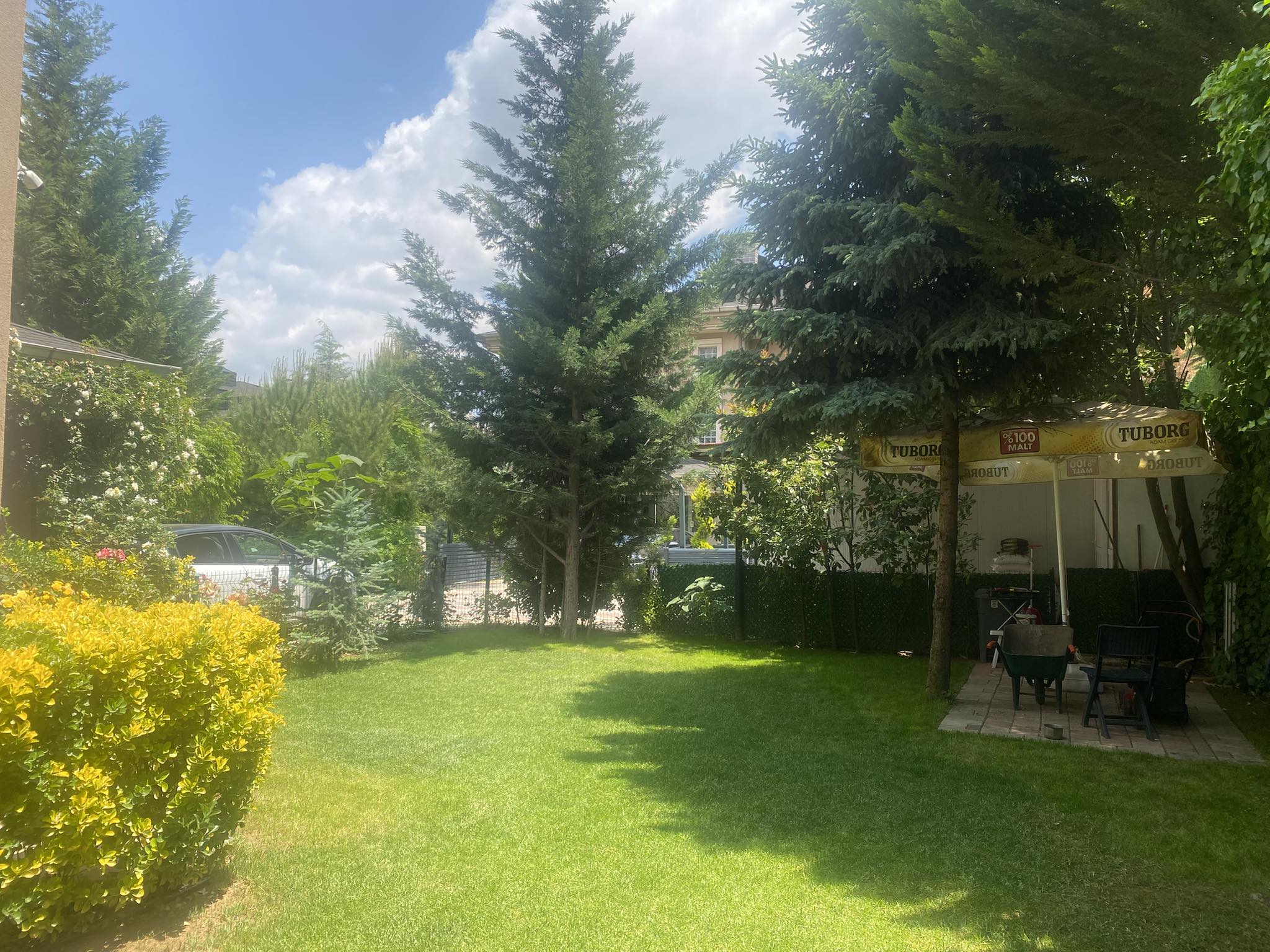 587723290 4238869806331079 2470223673637653091 N