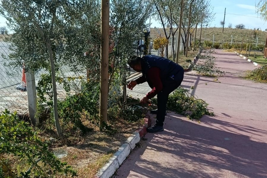 587875374 17921123001200444 6025208557771361352 N