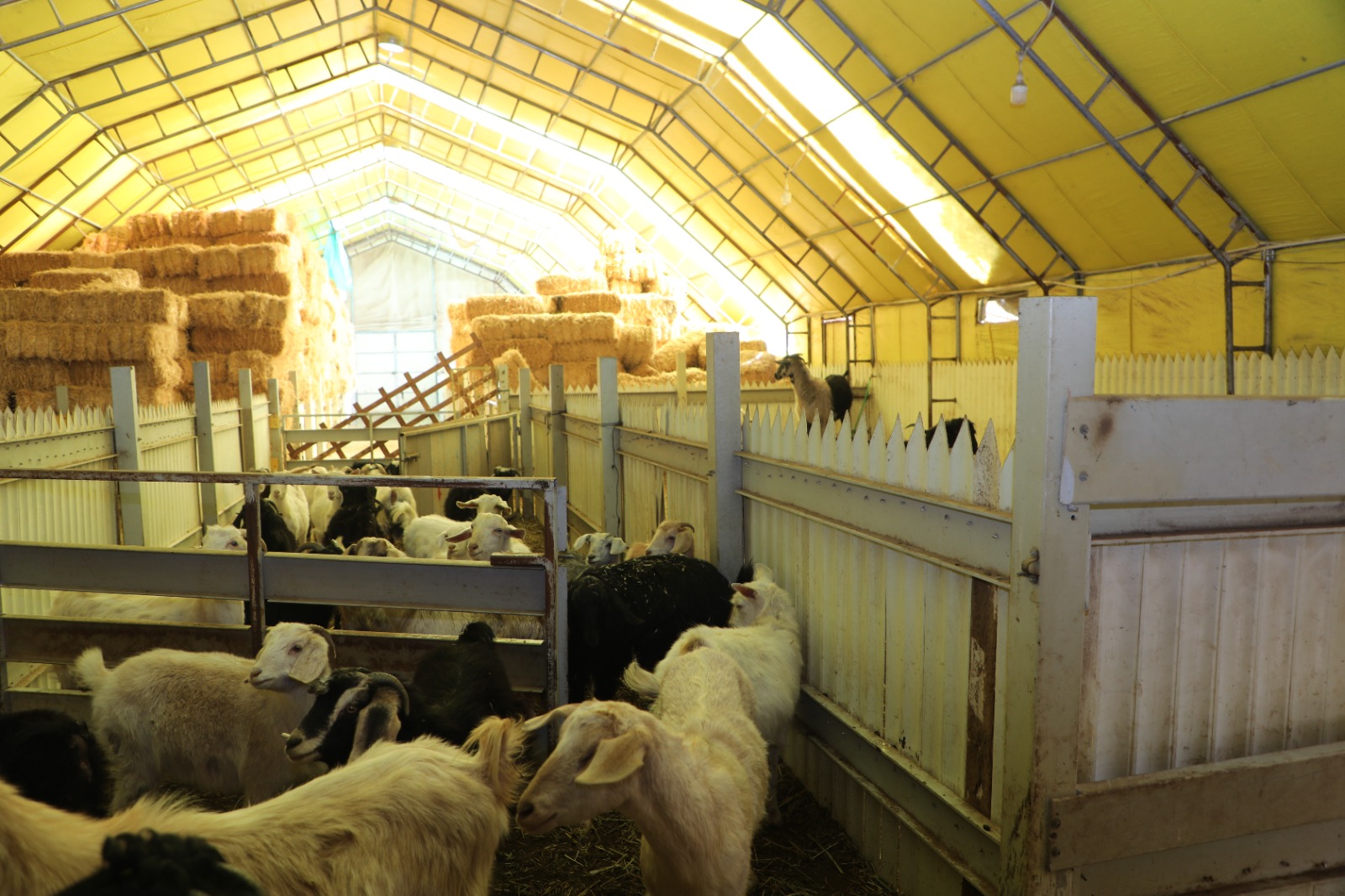 593713121 122187195248544242 4731290284365406520 N