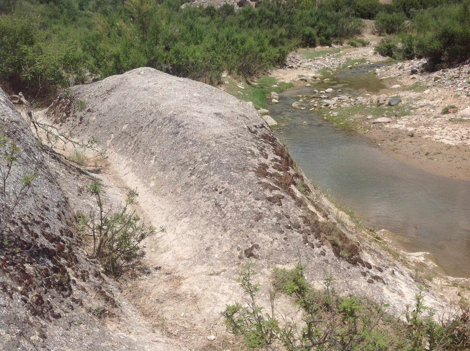 593950260 1249710980301058 3612715092502343580 N