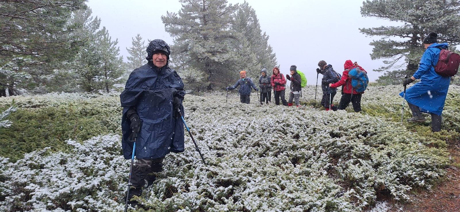 595614718 10163371694198260 2444419246082771563 N