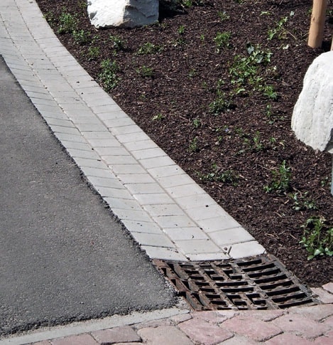 597771549 1452621486863412 9031649748219763523 N