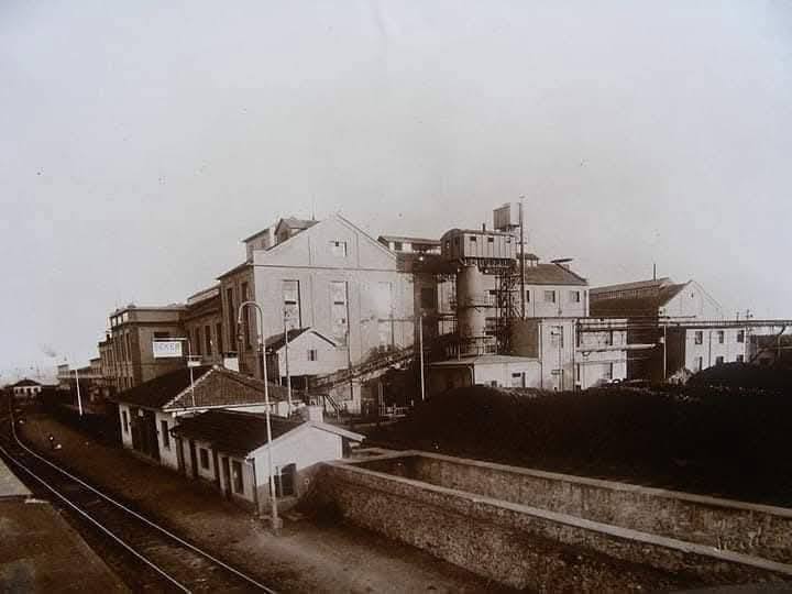 598697903 26386298780971393 8592764079370006832 N