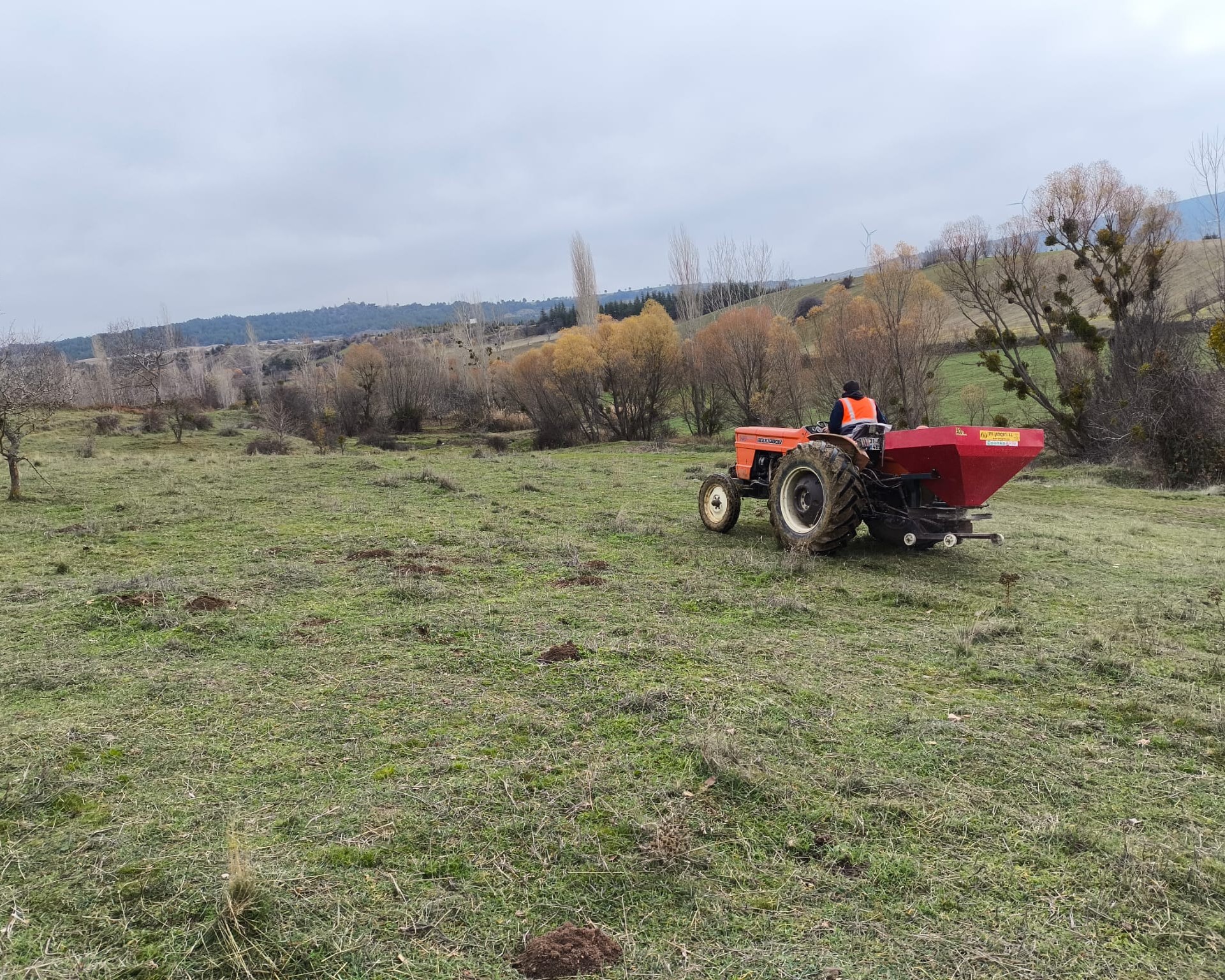 598830268 122189231906544242 339201667103285917 N