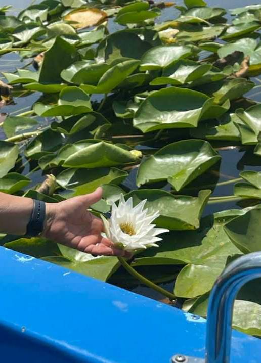 598940620 2933828600147192 1298808376649072871 N