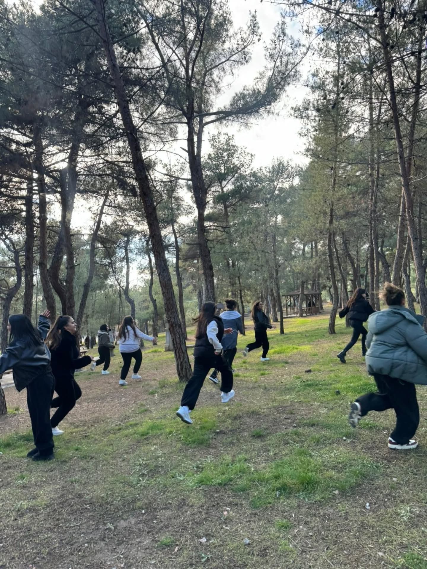 599598125 18146255875431364 4481118945664922806 N