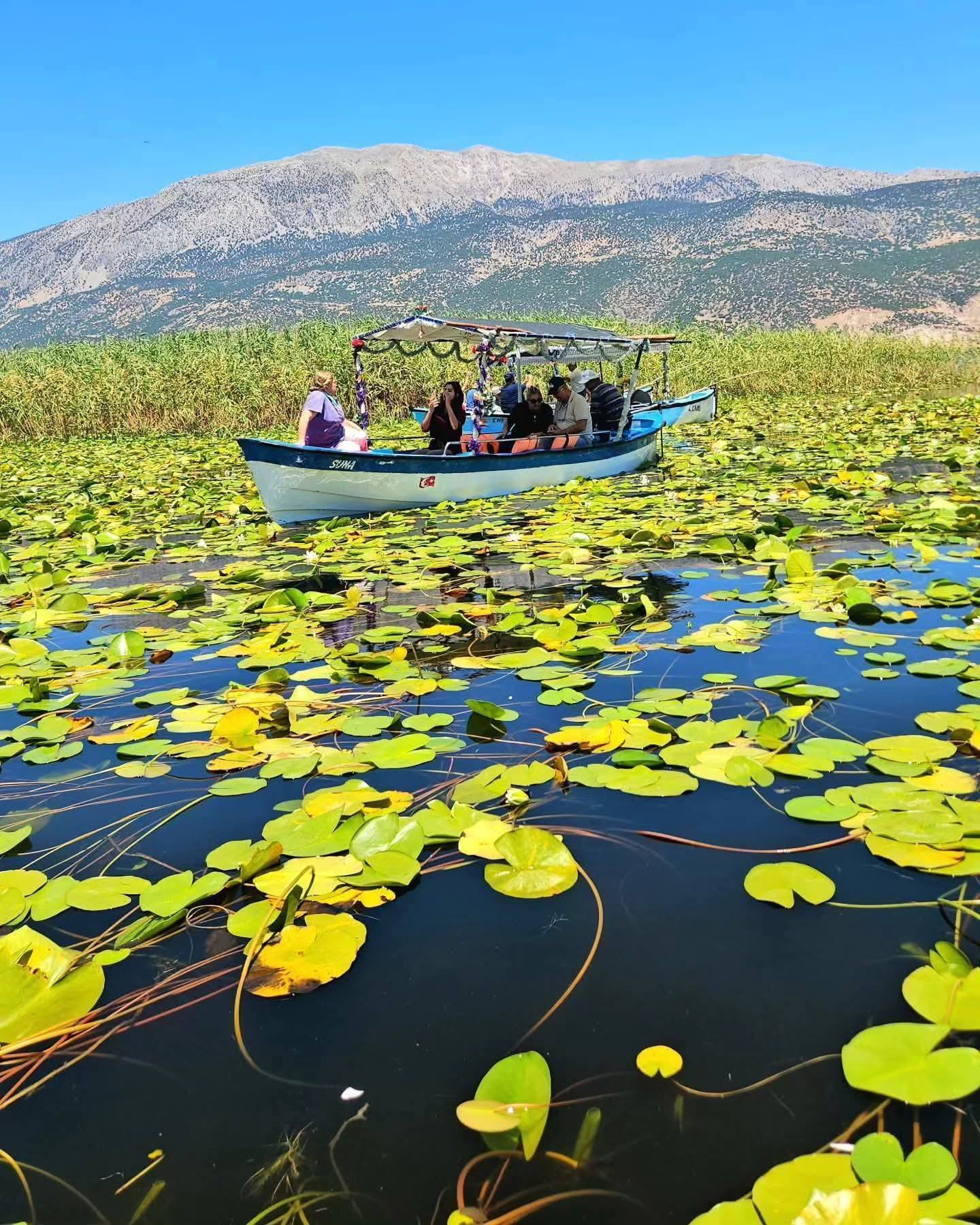 599776578 2933828826813836 1525151117759821293 N