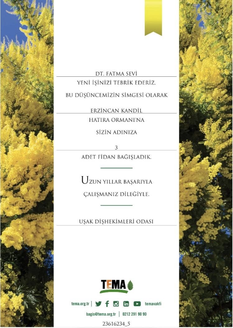 600259507 4349177962035983 801890406127181823 N