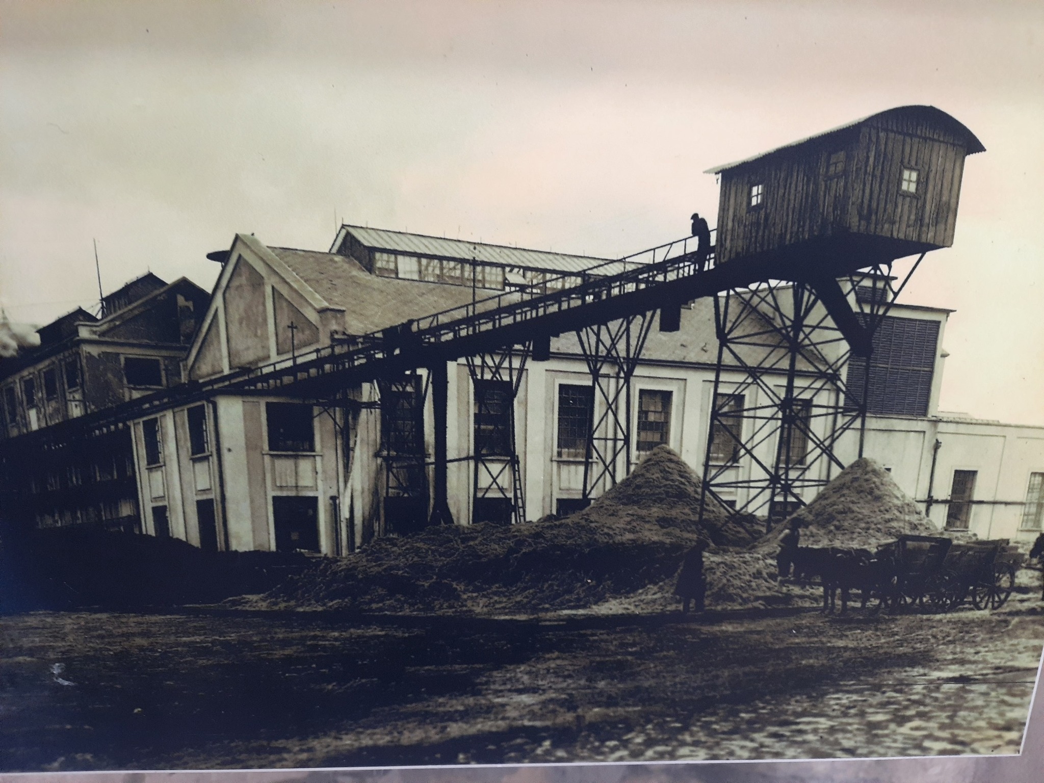 600295924 1317025553800452 5689674516186842426 N