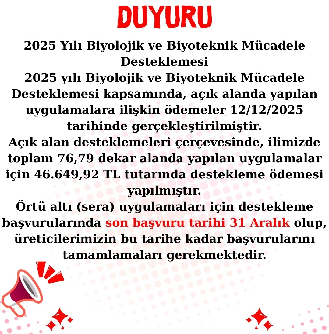 600299655 122188784894544242 3160869408460396965 N