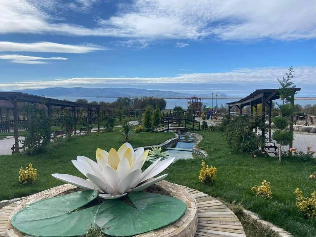 600341896 2933828646813854 400240986147892721 N