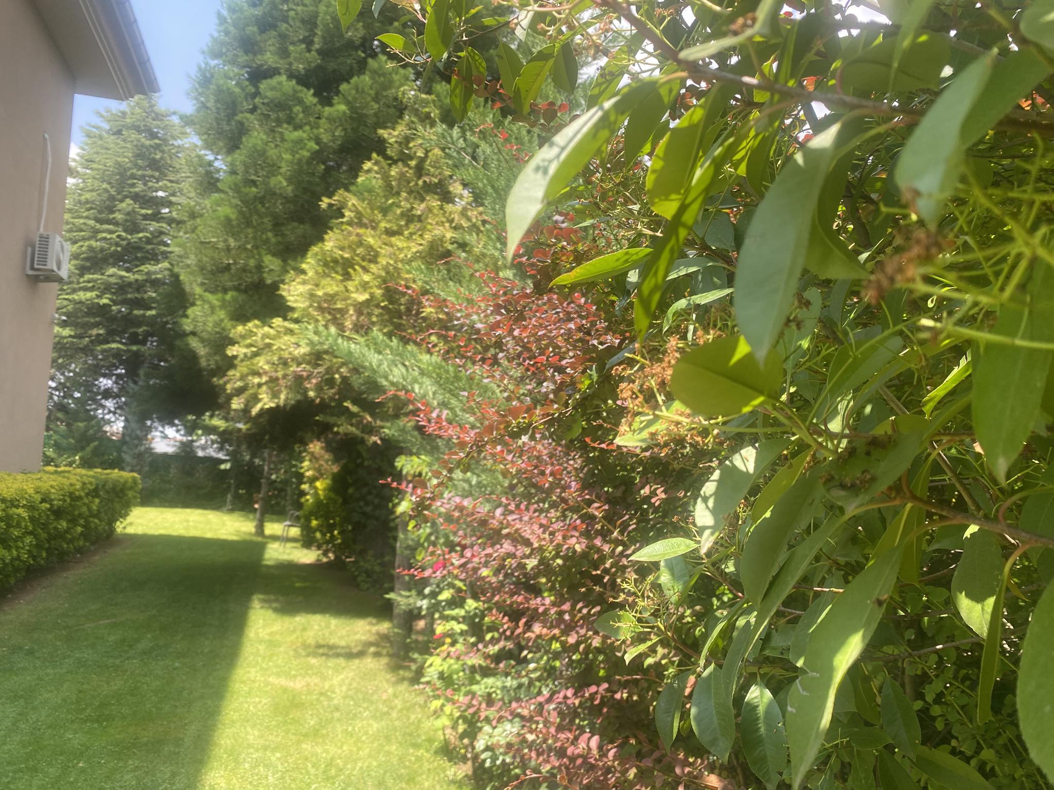 600521889 4238869822997744 5043719375943555353 N