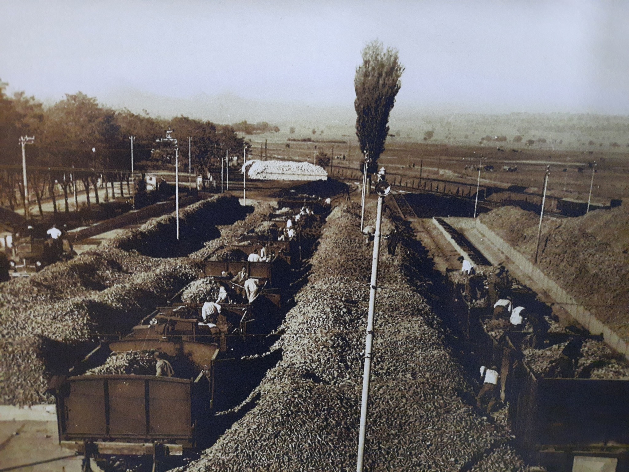 600919463 1513713779687967 8461118057832675714 N