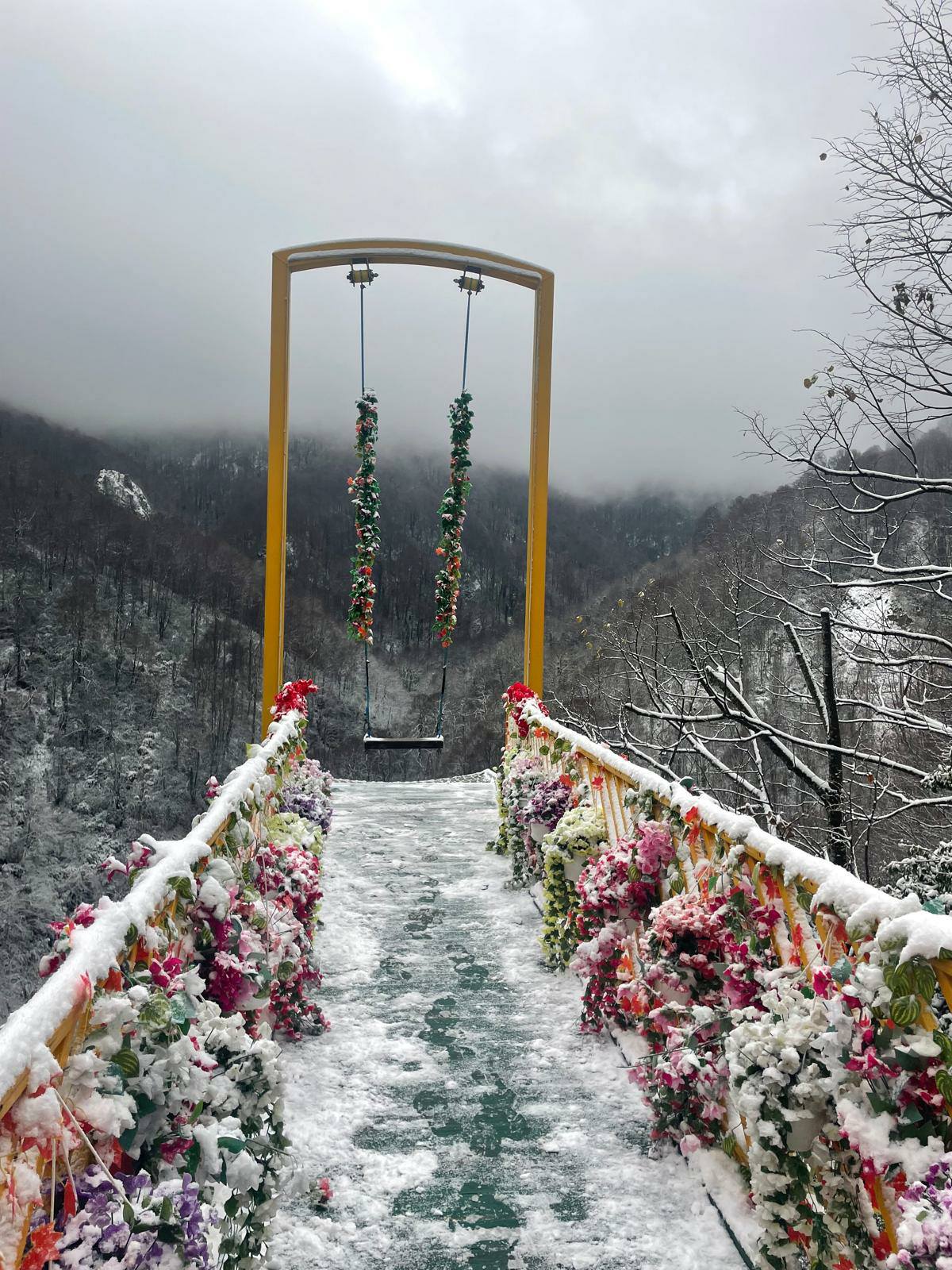 601023501 2942428472620538 6352191513868482956 N