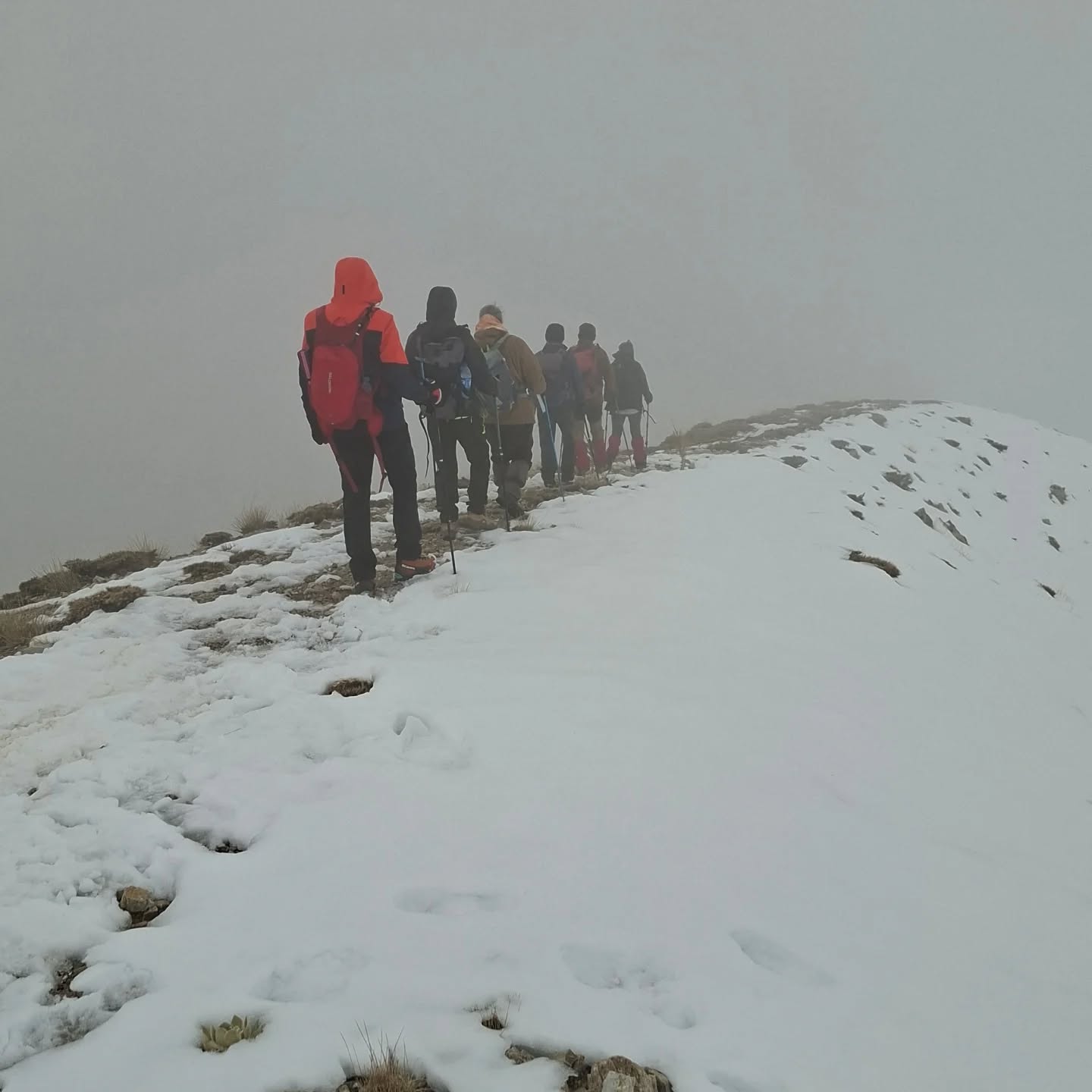 601042130 18333987838213190 1584563711245223593 N