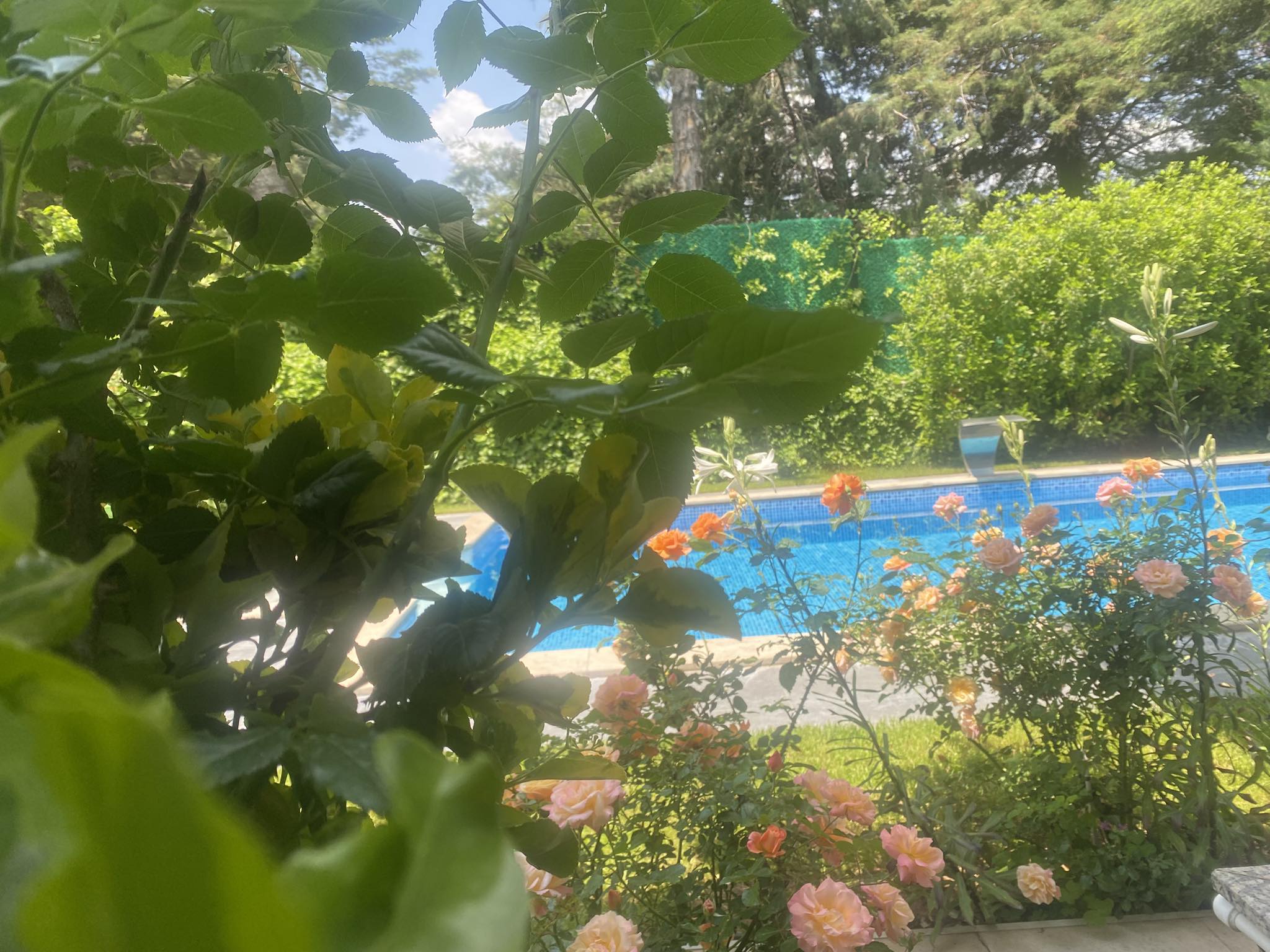 601982620 4238869989664394 2935490874574539323 N (1)