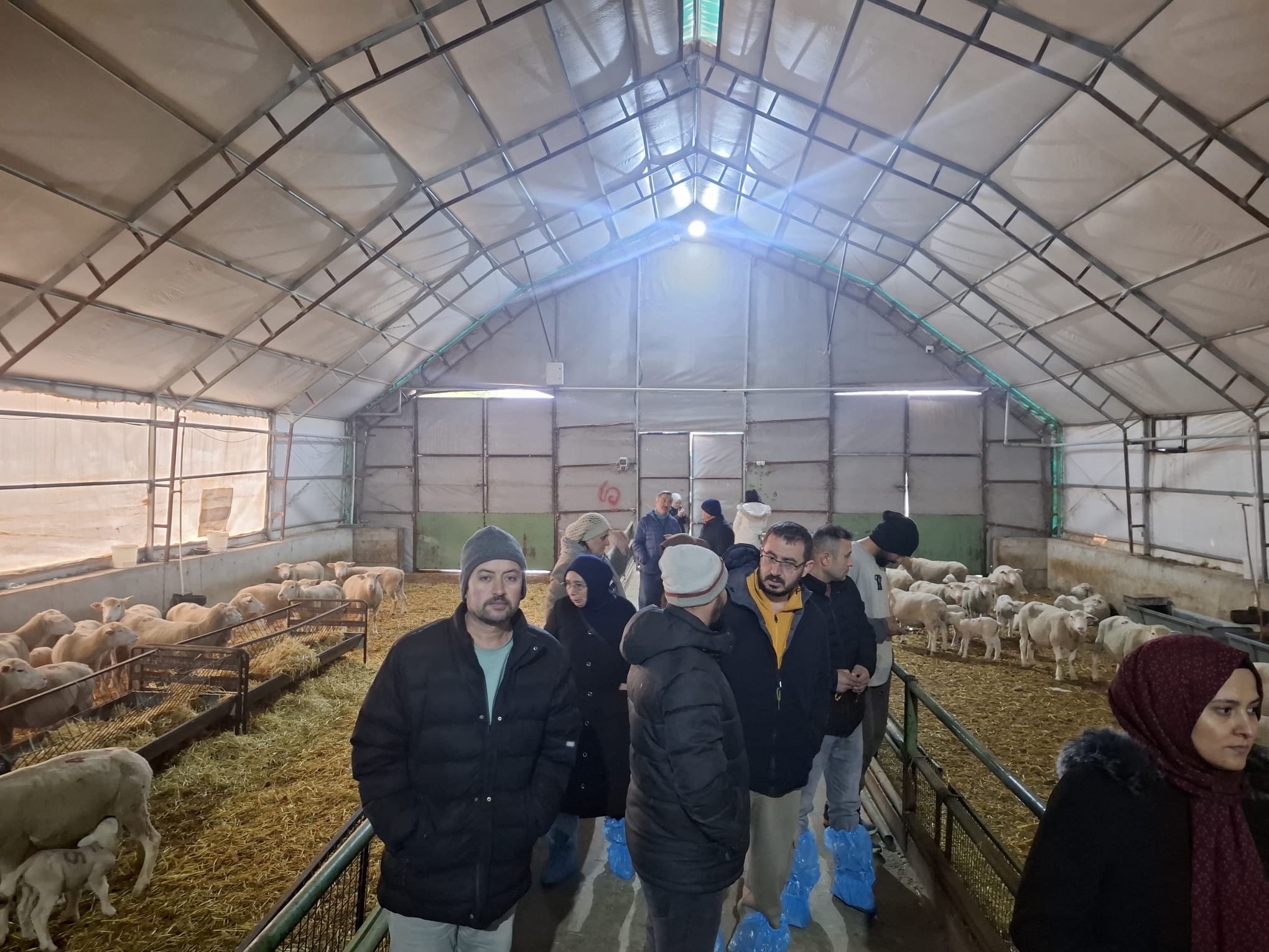 604908829 122189873738544242 2668052846104903007 N