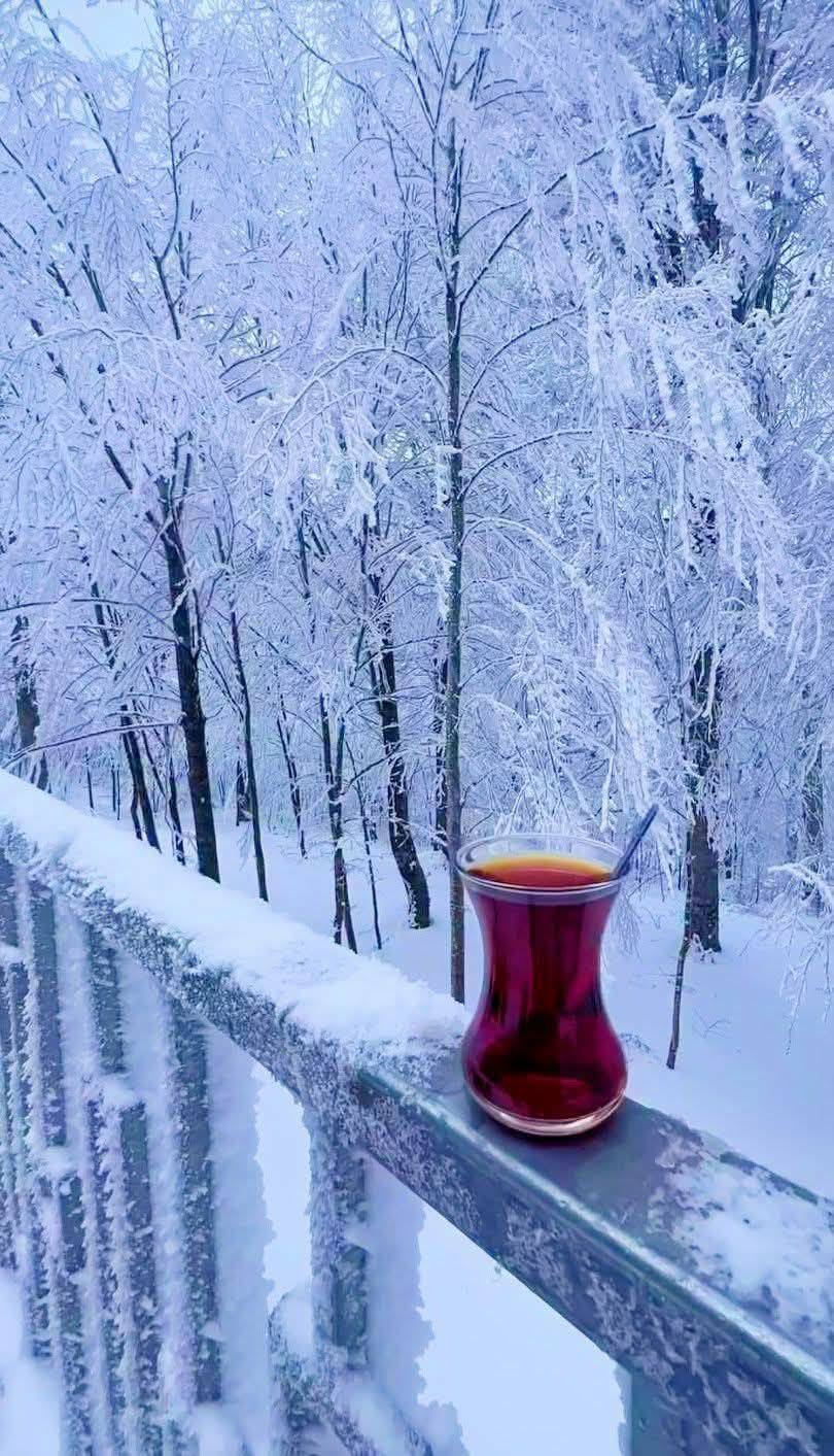 605112256 2942927962570589 2291150708694923597 N