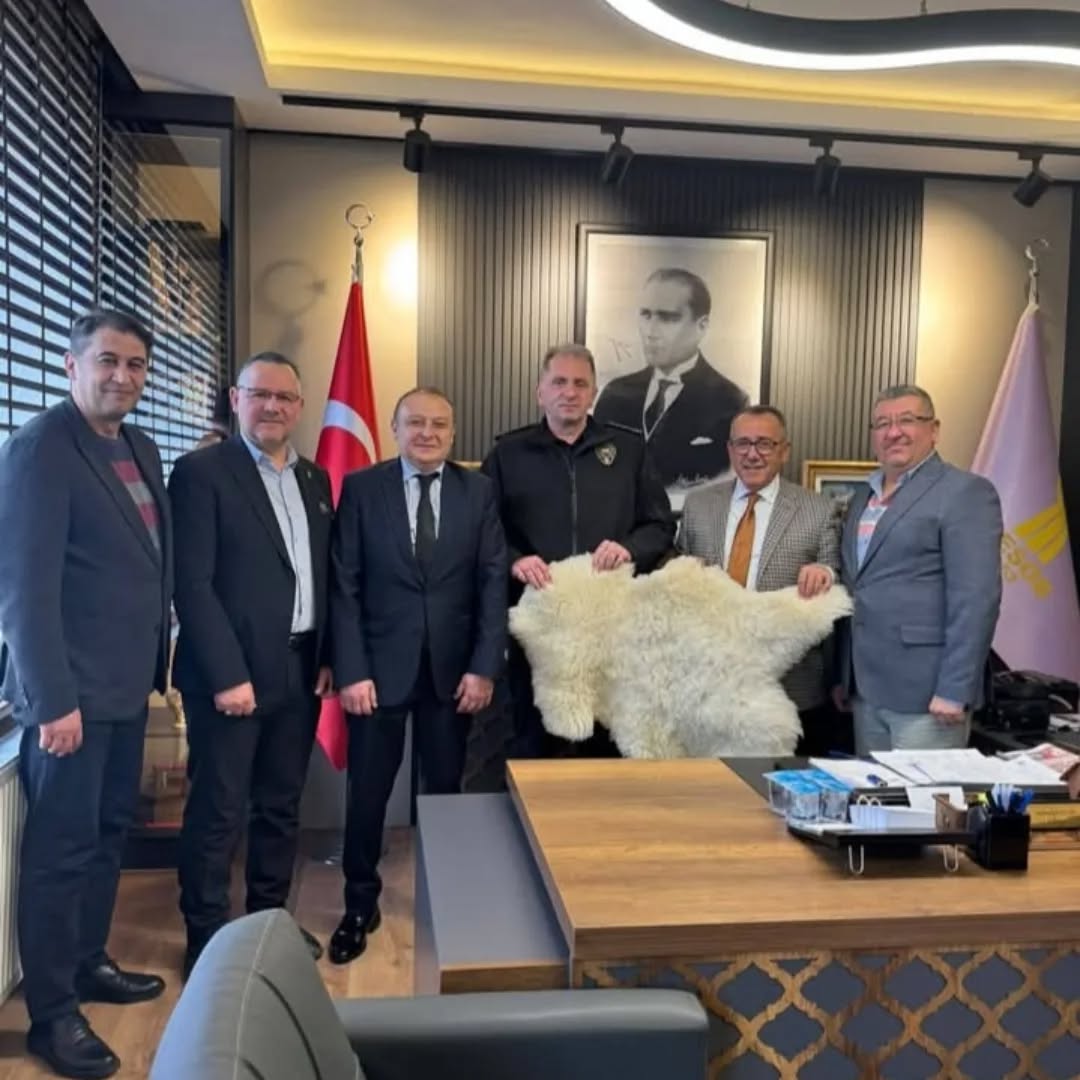 605186498 25204151695923784 4594371681429154499 N