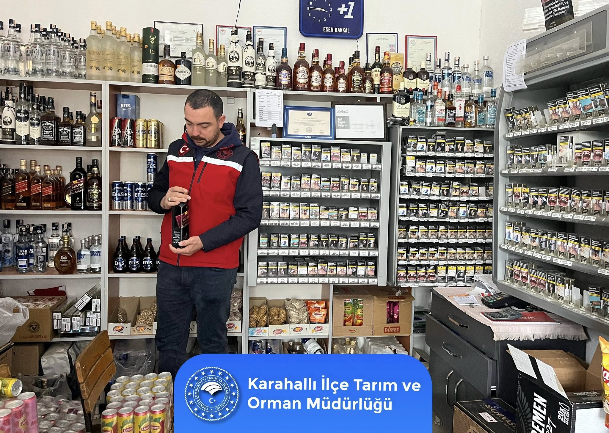 605345535 2763340444002748 405738501315691179 N