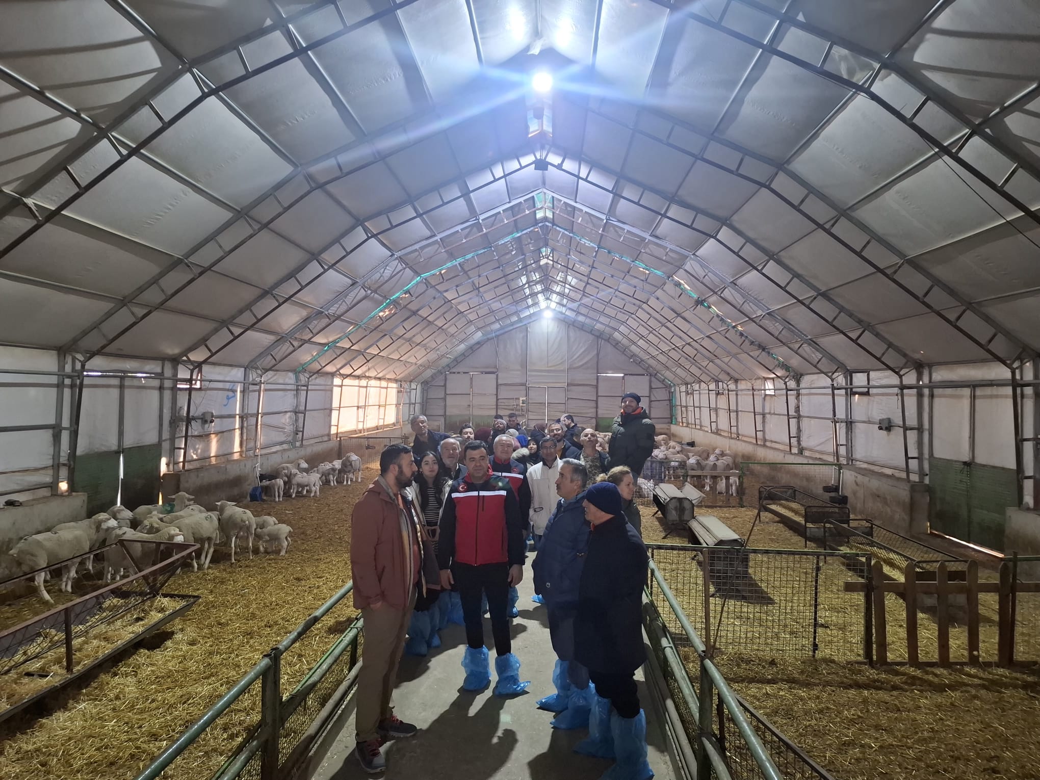 605545840 122189873666544242 1528377845153969932 N