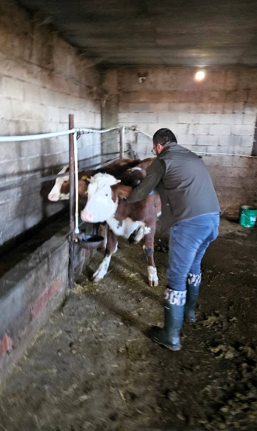 605706138 1170336895286108 3700794206723408721 N