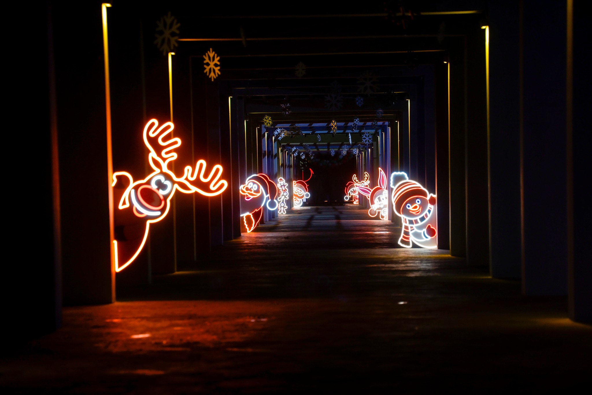 607615947 1188687236738549 8069655915839048861 N