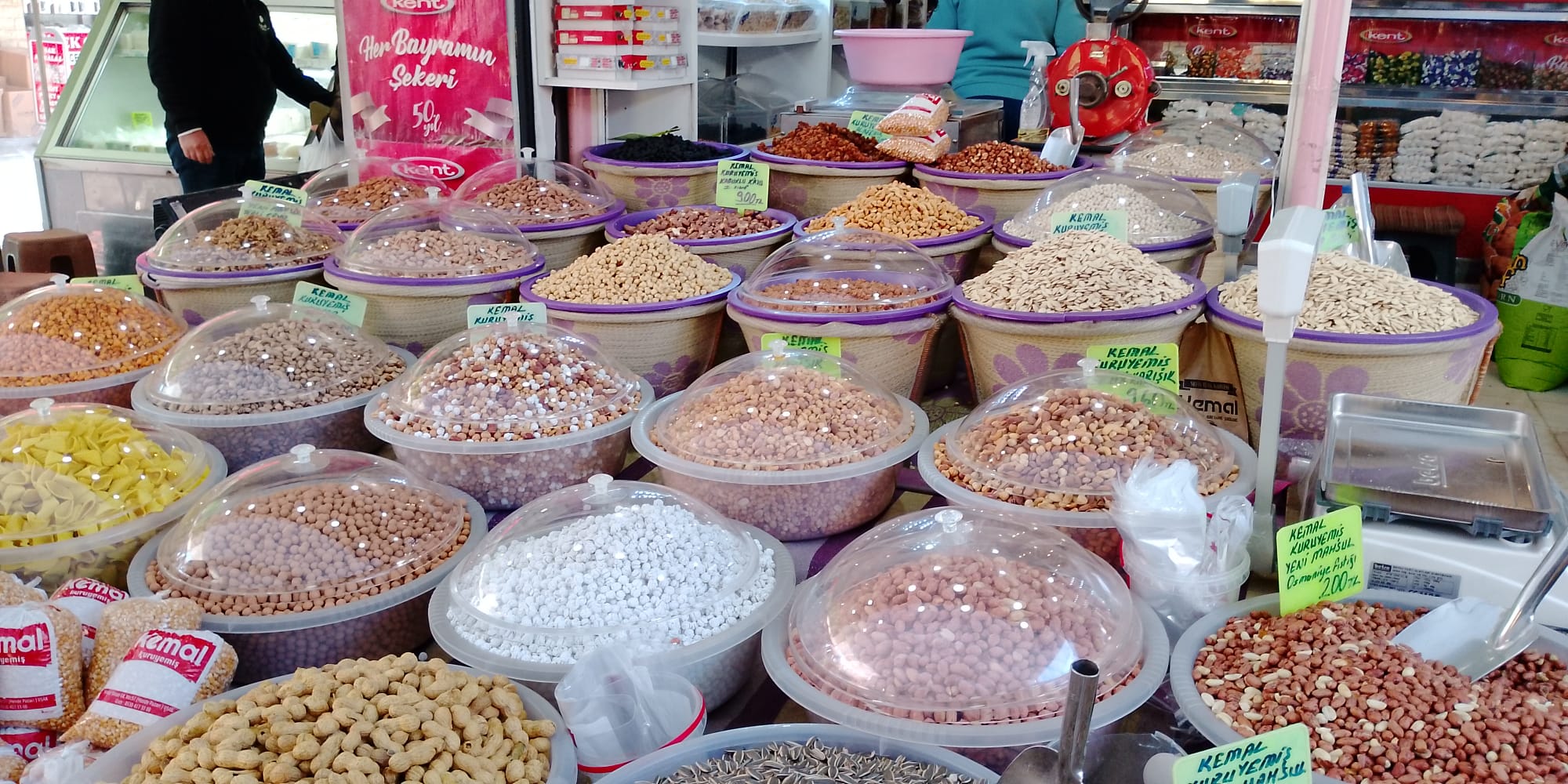 6E3Fa13F 6C72 49A9 9D0D 641F6Bfc2C88