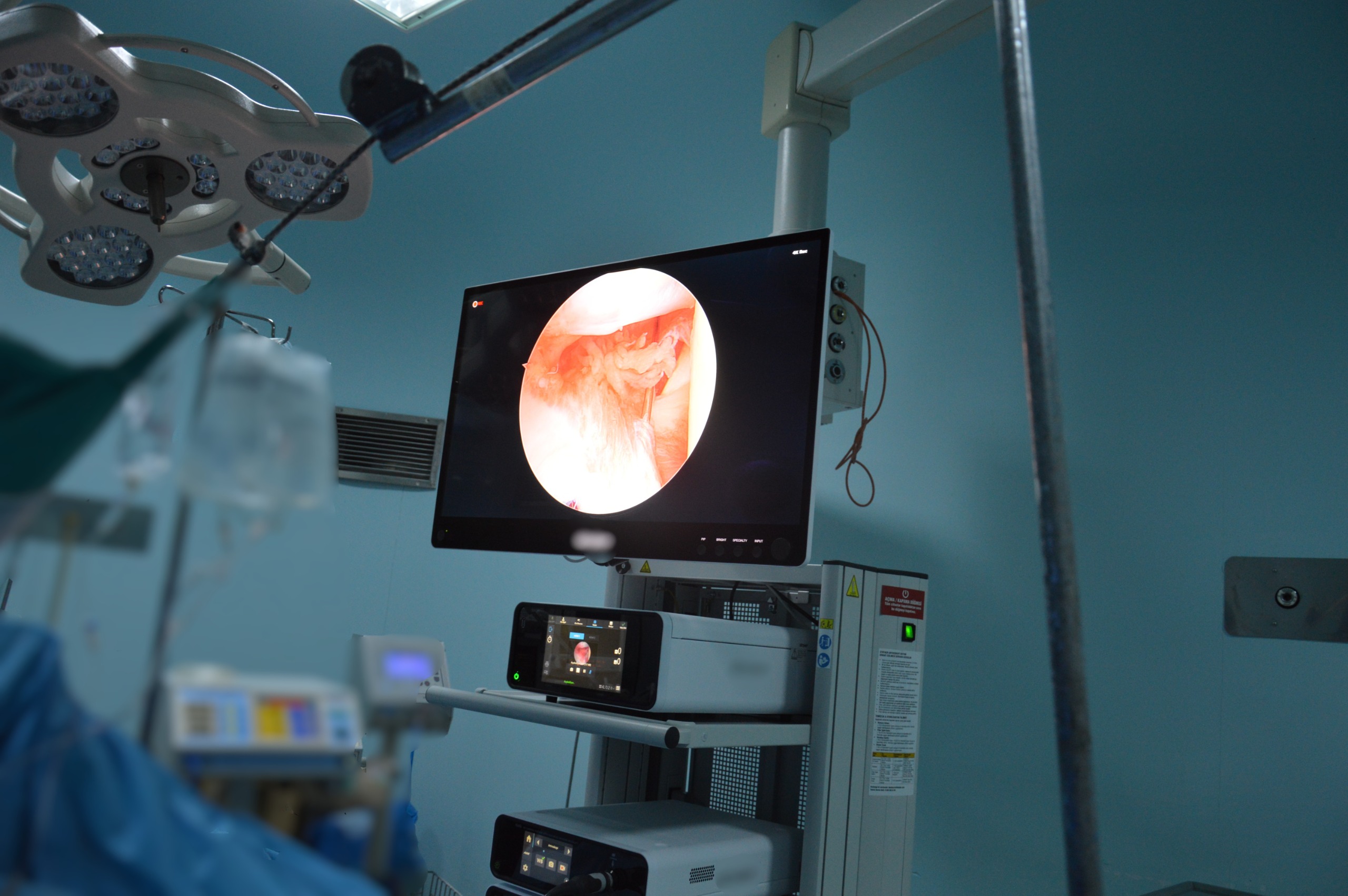 91C5F67C 5297 48Cb 9D90 3C4Db809183F