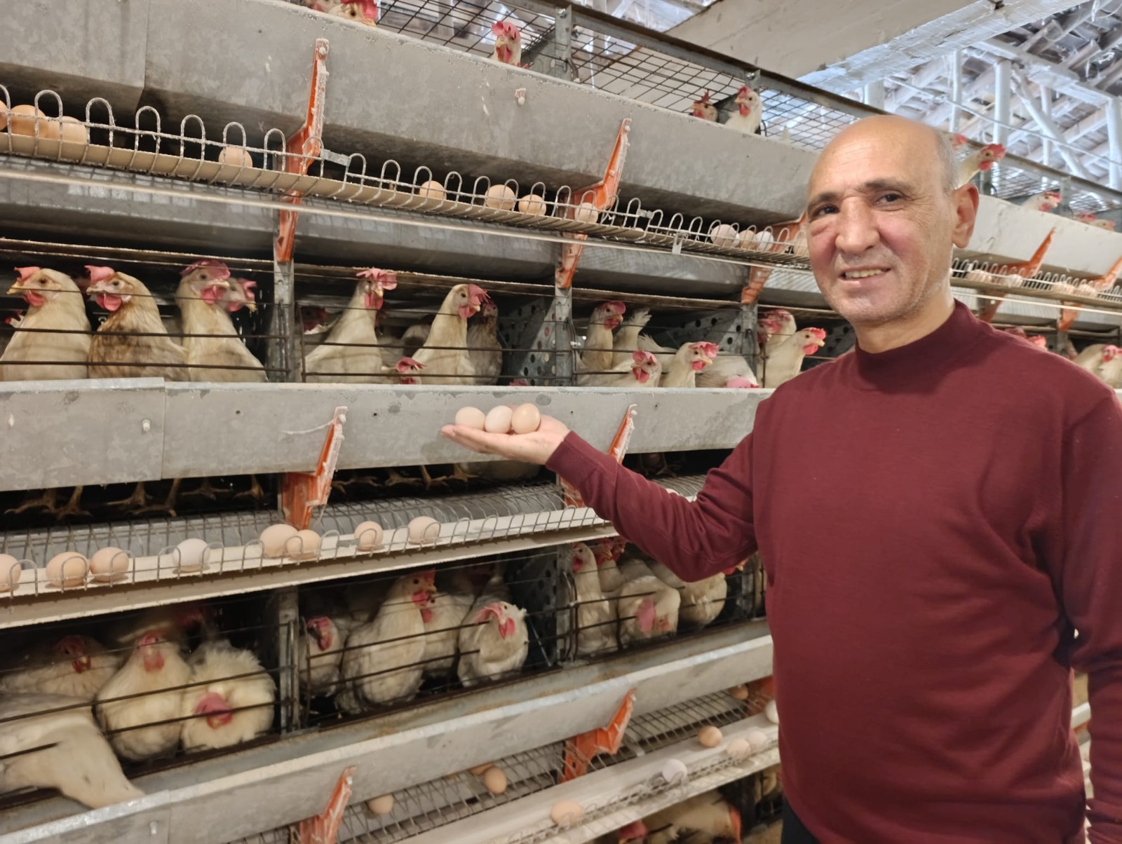 D49806A5 2734 49Dd 8298 3Ef04E9A572C