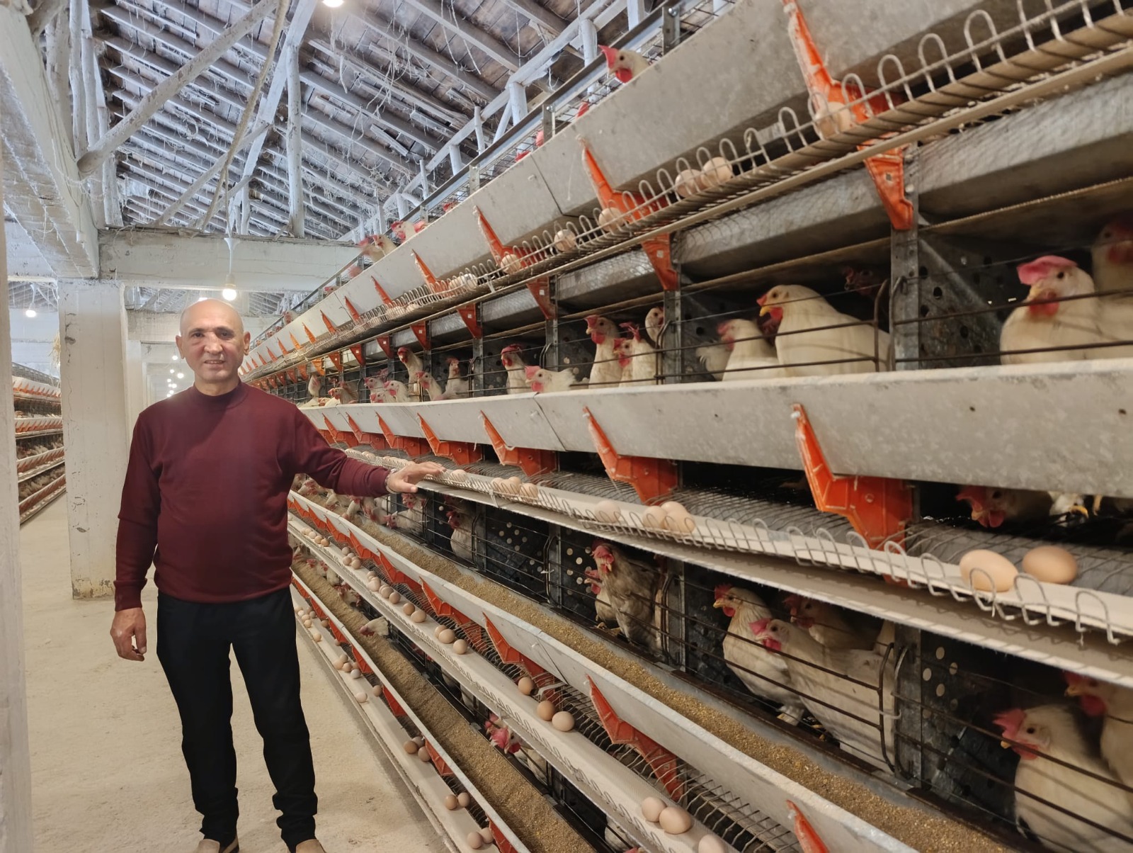 E8Fb6B7E 8Ccf 4Ffd Ab69 F3E98Ae061F6