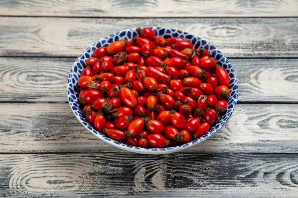 Karamuk Meyvesinin Faydalari Nelerdir