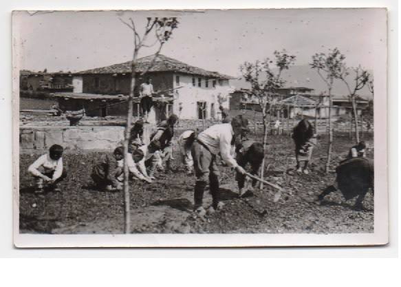 468888367 10162594062489273 1536336594244860572 N