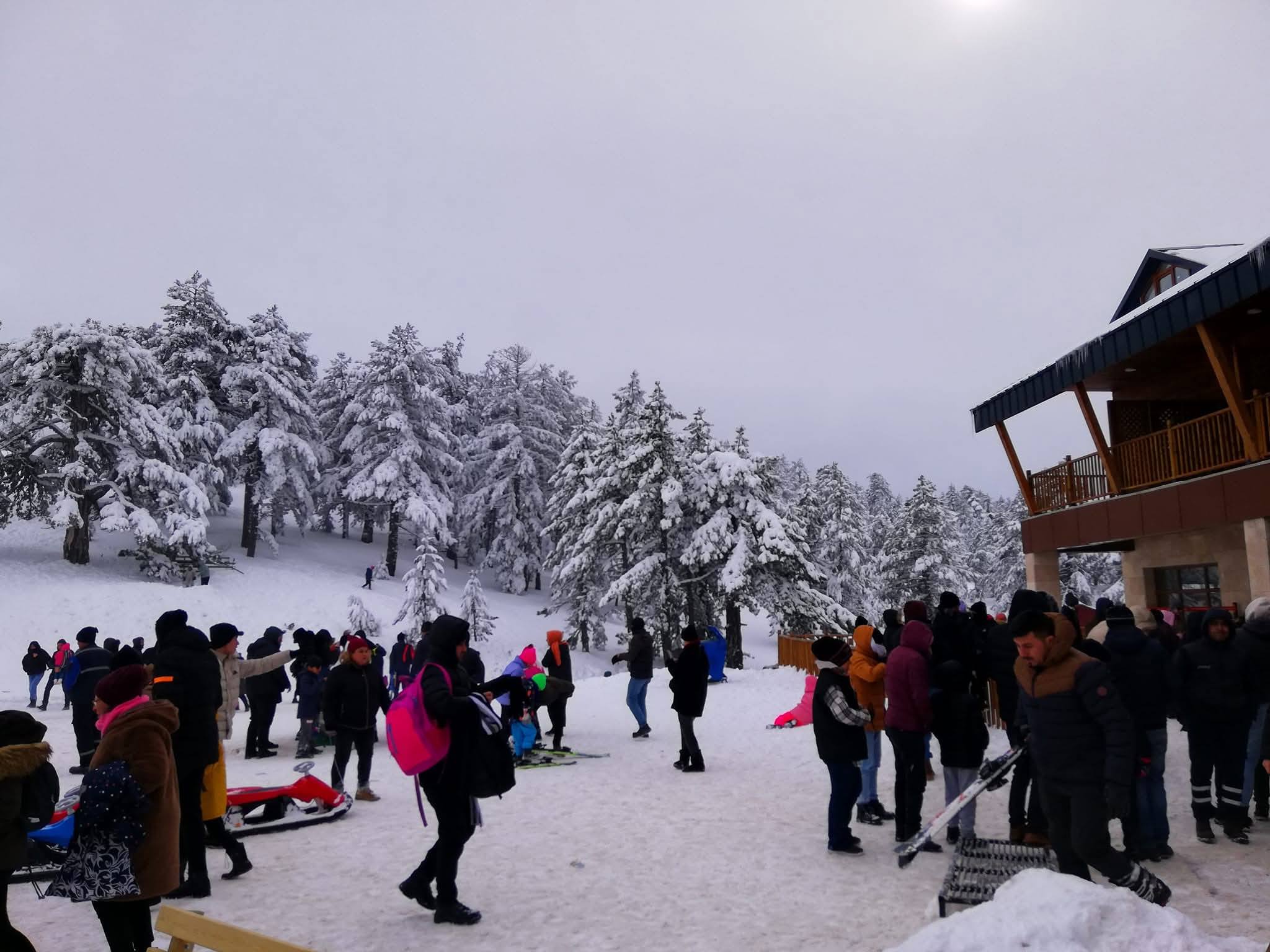 606065071 2949358975260821 7860083286118386817 N