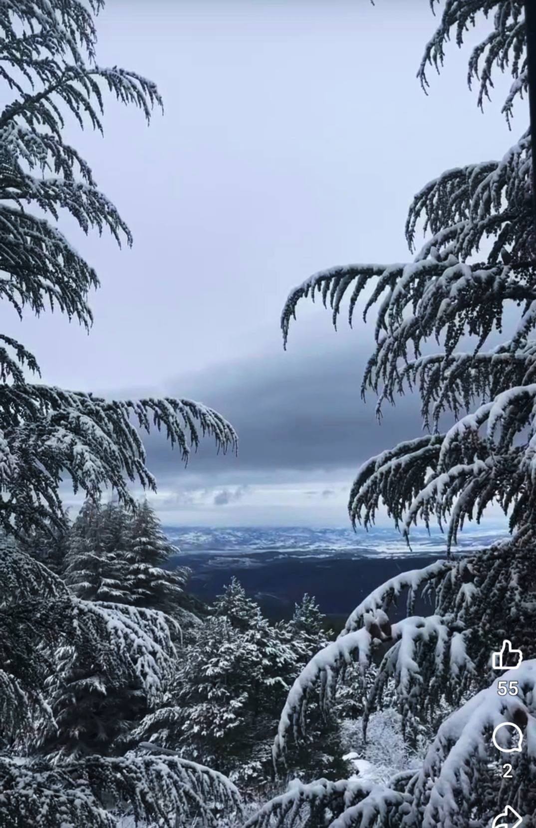 608670603 2949430708586981 6574274541931980041 N