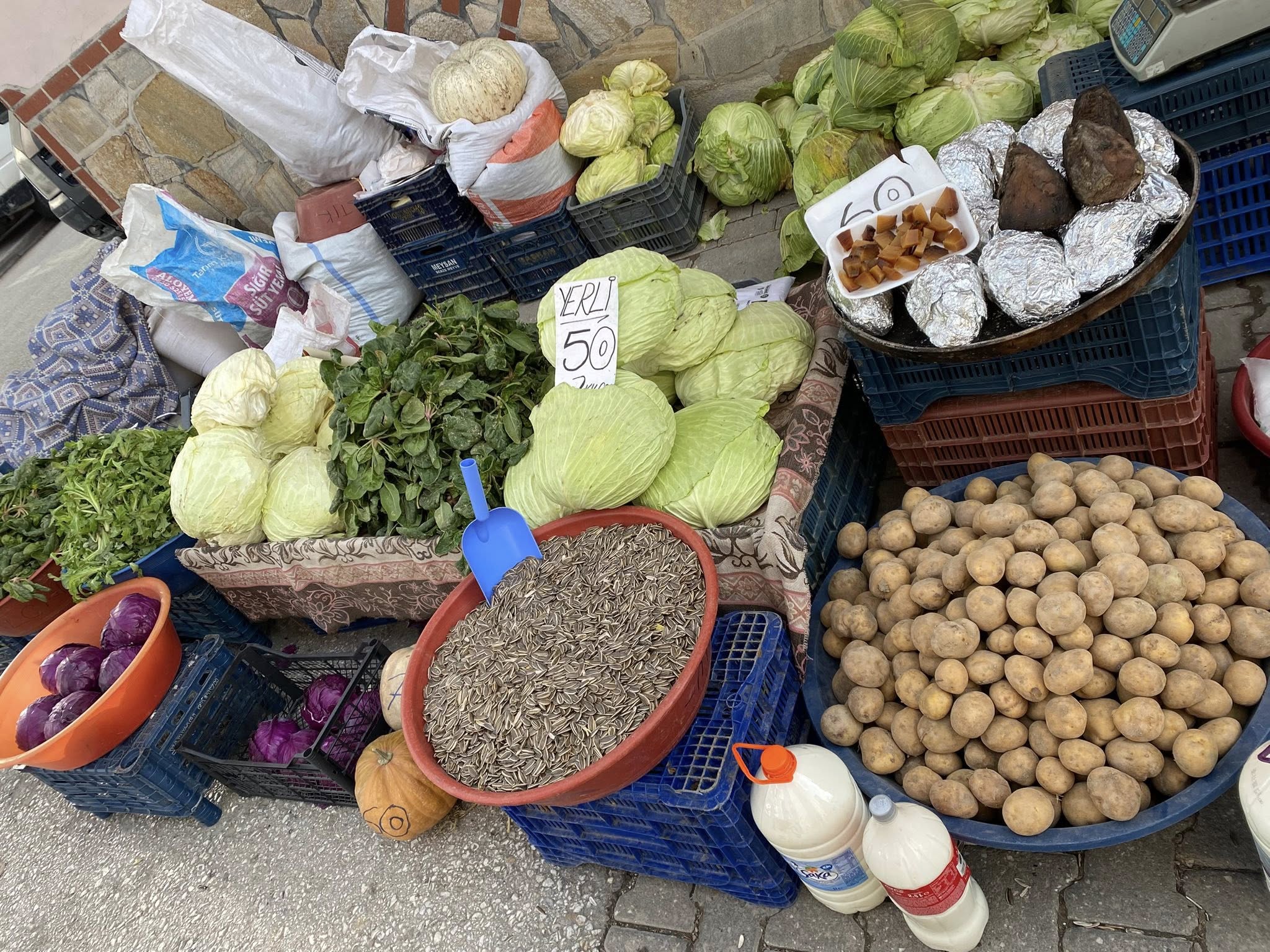 608672531 10163140581507860 3635874292979864577 N